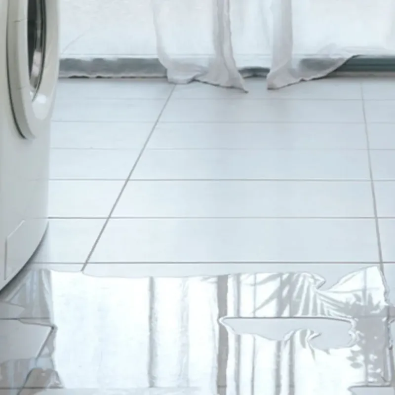 Appliance Leak Cleanup in La Paloma, TX
