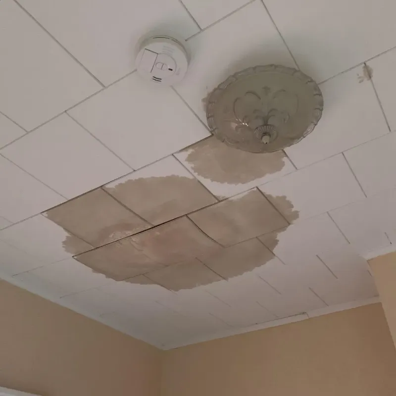 Ceiling Water Damage Repair in La Paloma, TX