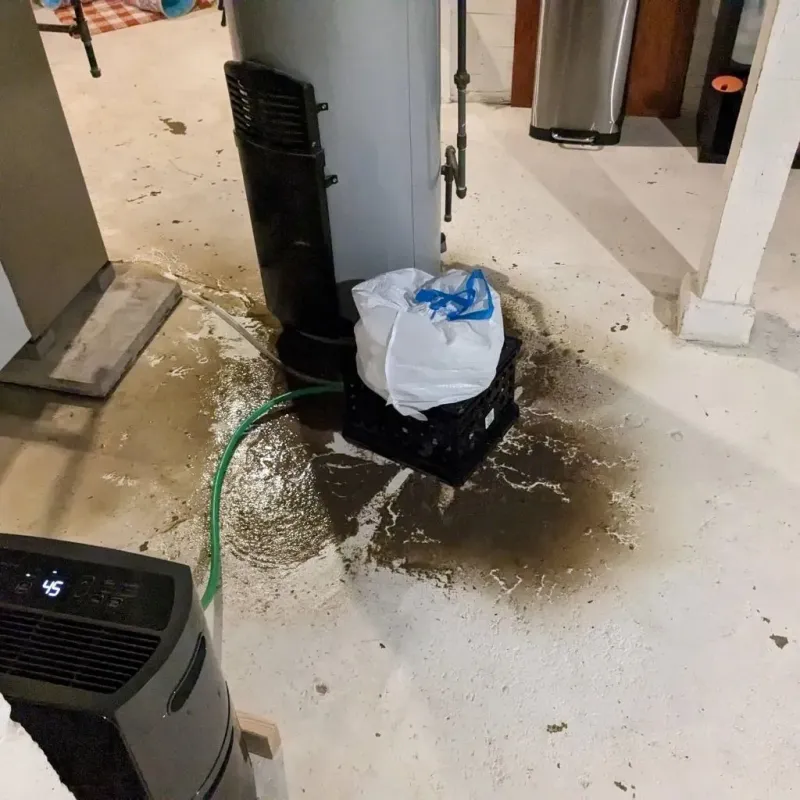 Sewage Backup Cleanup Service in La Paloma, TX